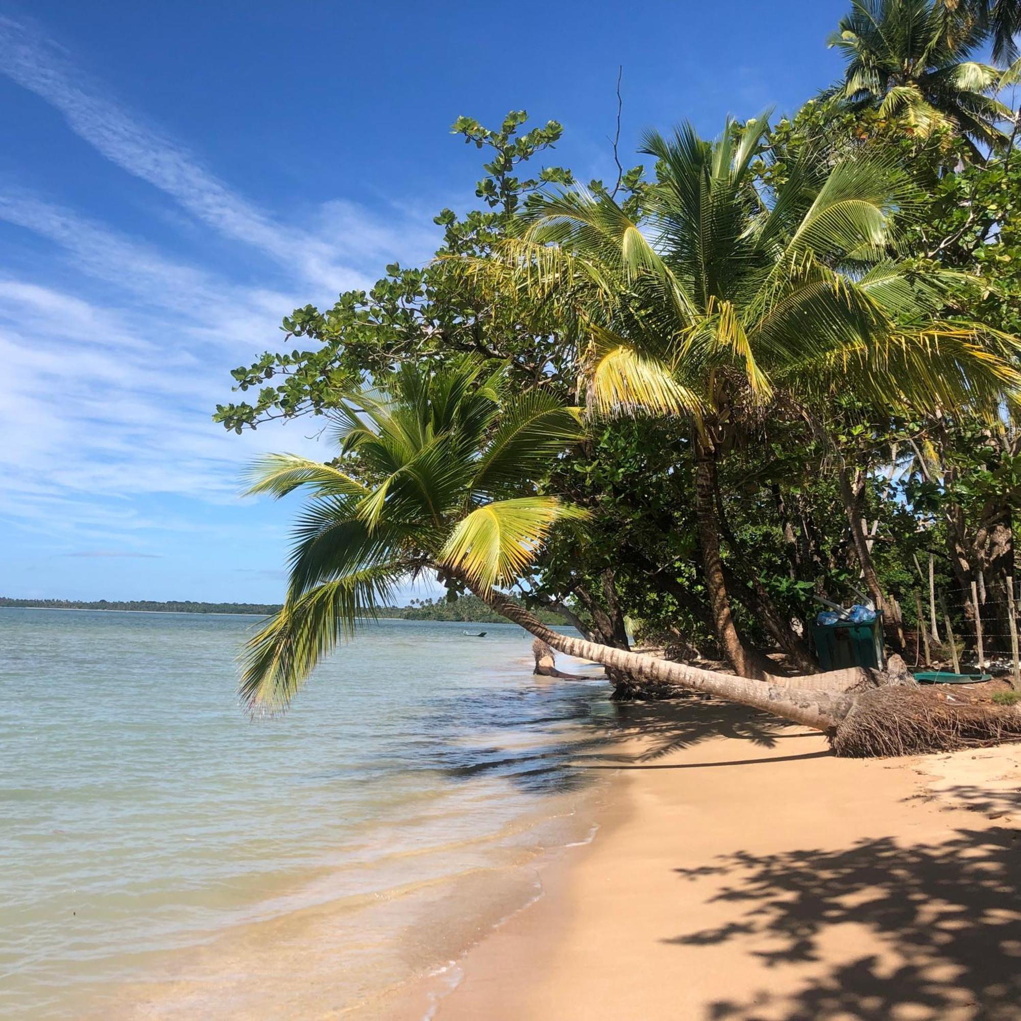 Alecrim Hostel E Pousada Velha Boipeba 外观 照片