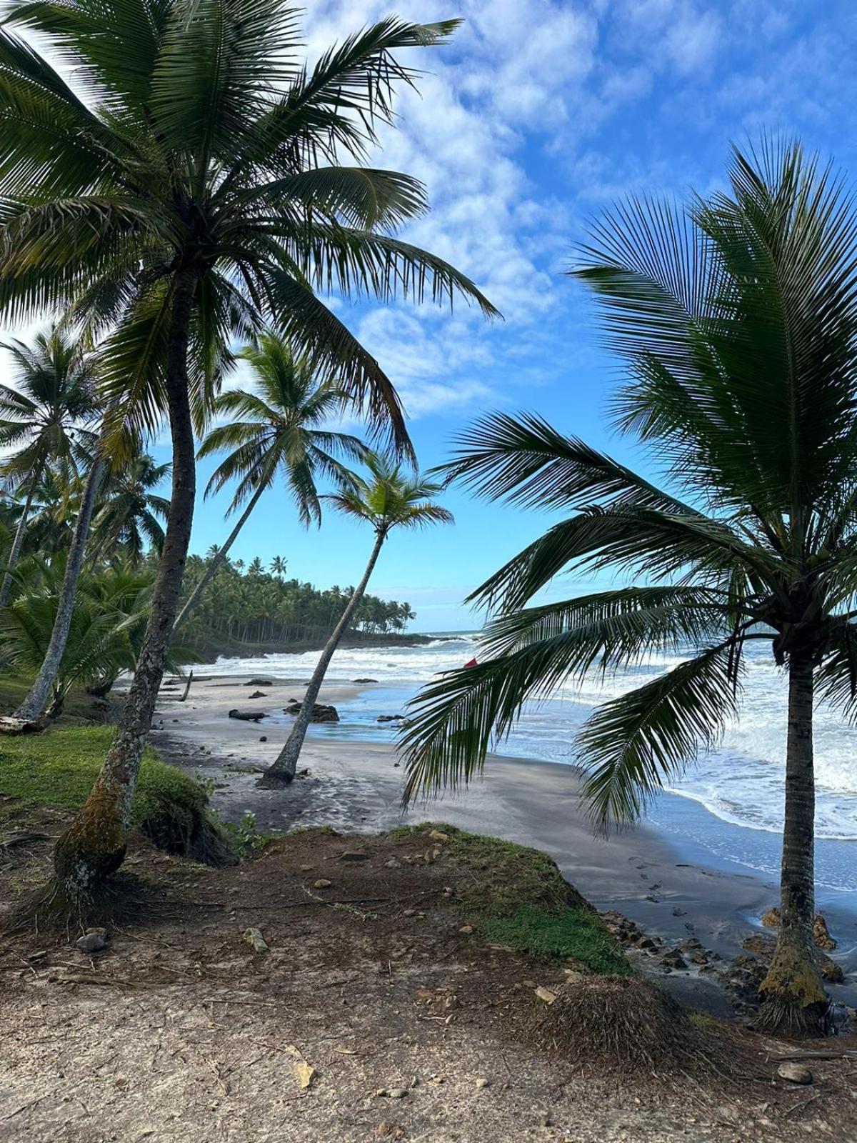 Alecrim Hostel E Pousada Velha Boipeba 外观 照片