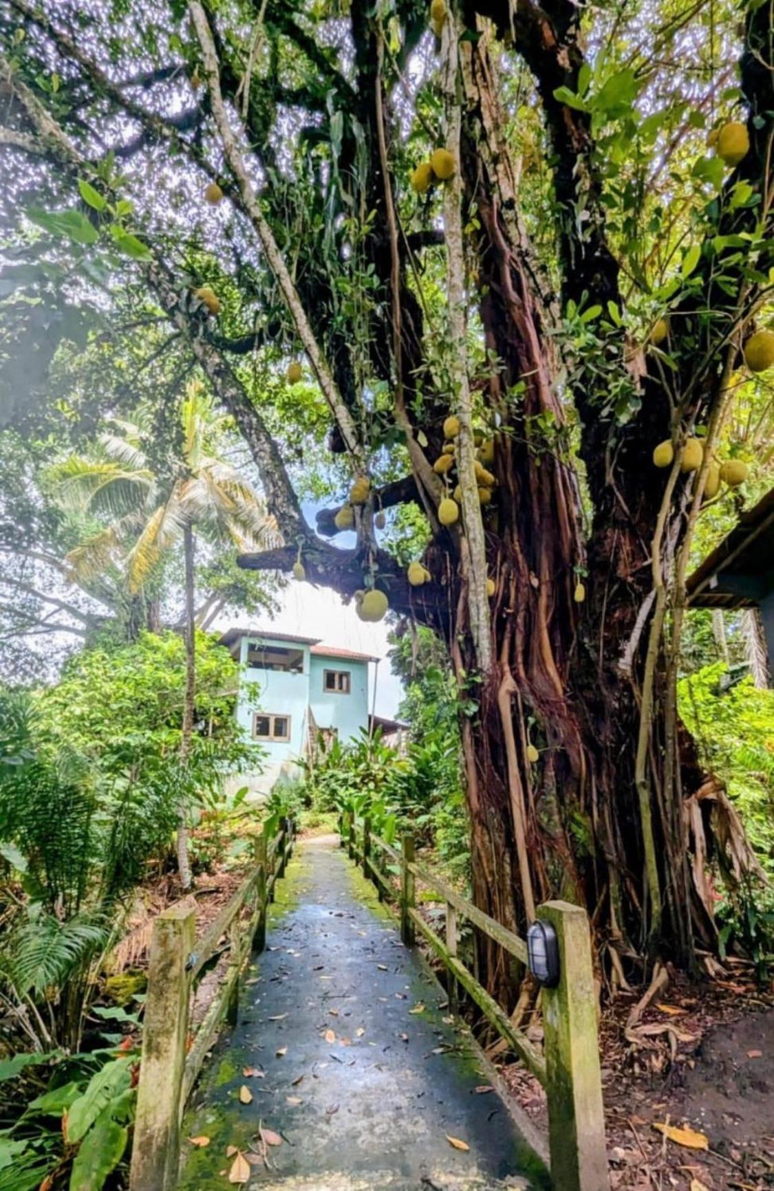 Alecrim Hostel E Pousada Velha Boipeba 外观 照片